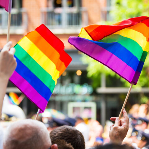 pride flags held up in street