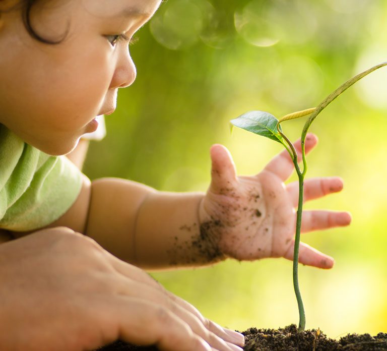 child grasps at plant